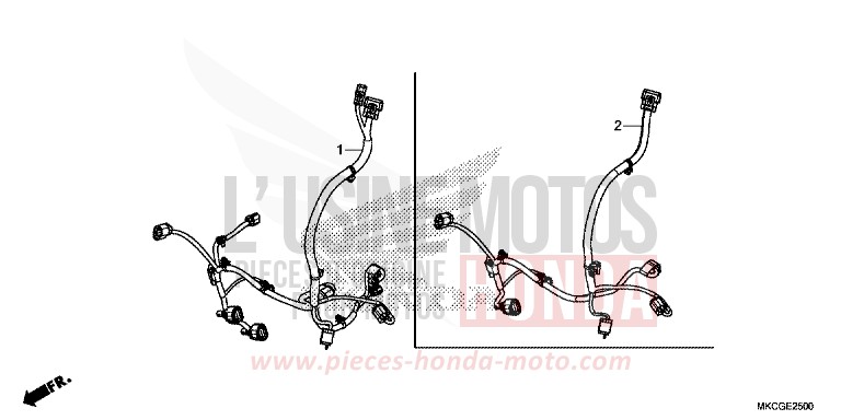 CORDON AUXILIAIRE de Gold Wing CANDY ARDENT RED (R367) de 2020